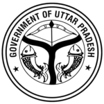 image removebg preview