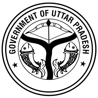 image removebg preview